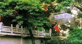 铁力